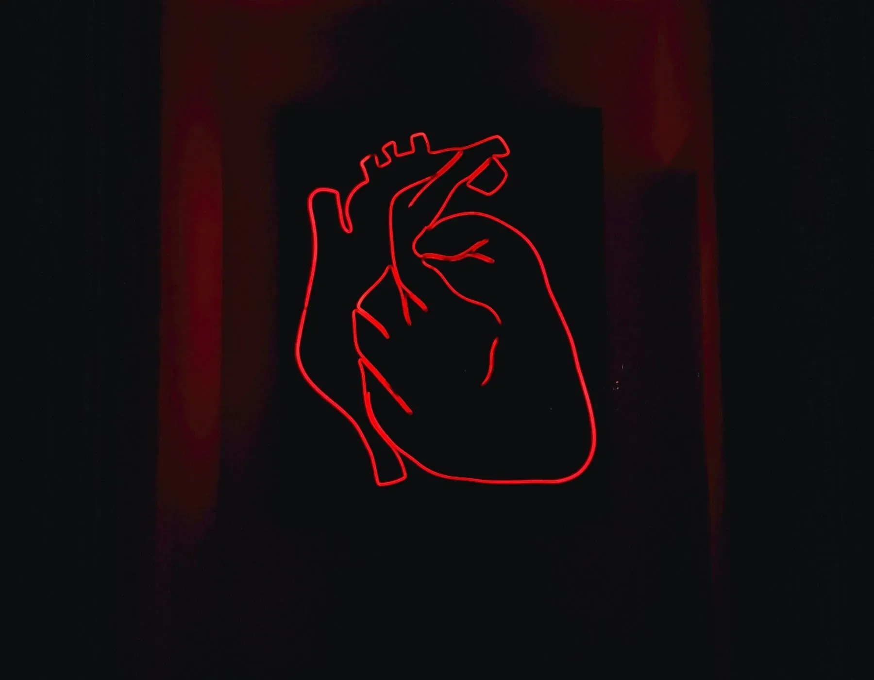 An illuminated art sketch of a heart signaling a link between a Sedentary Death Syndrome and heart disease